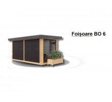 FOIȘOARE BO6