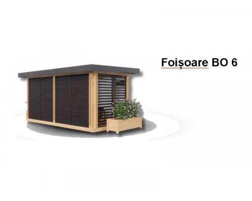 FOIȘOARE BO6