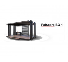 FOIȘOARE BO1