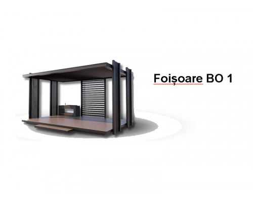 FOIȘOARE BO1