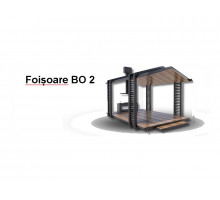 FOIȘOARE BO2