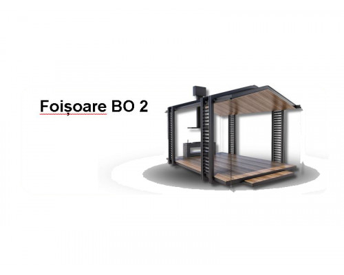 FOIȘOARE BO2