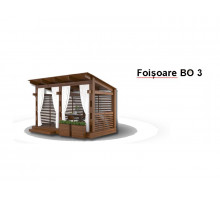 FOIȘOARE BO3