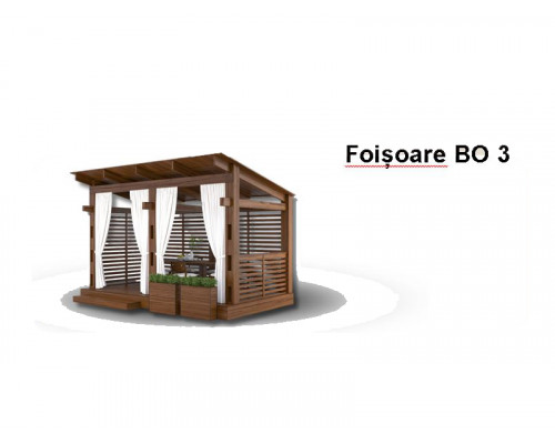 FOIȘOARE BO3