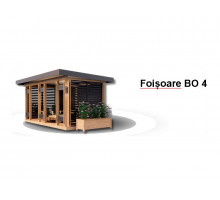 FOIȘOARE BO4