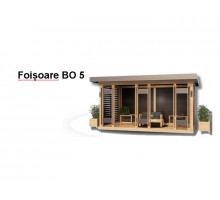 FOIȘOARE BO5