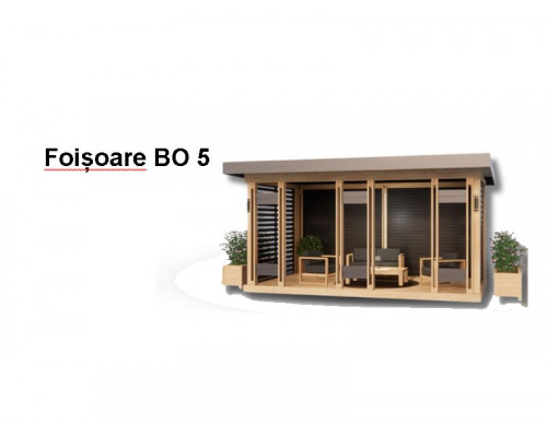 FOIȘOARE BO5
