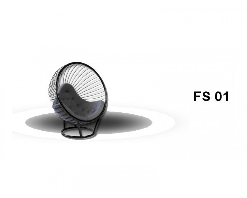 FS 01